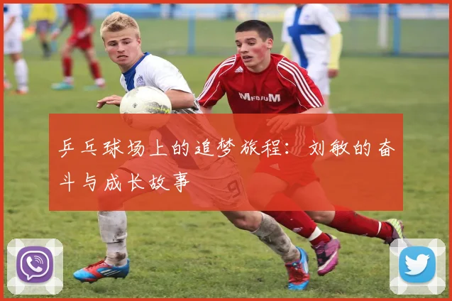 乒乓球场上的追梦旅程：刘敏的奋斗与成长故事