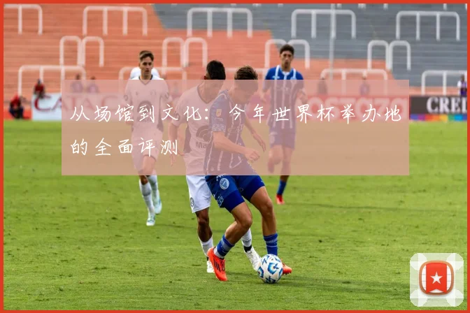 从场馆到文化：今年世界杯举办地的全面评测